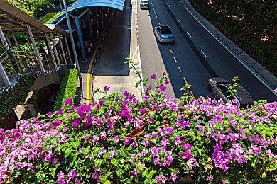 外媒精选2024年画面优秀的20款游戏 《黑神话：悟空》在列